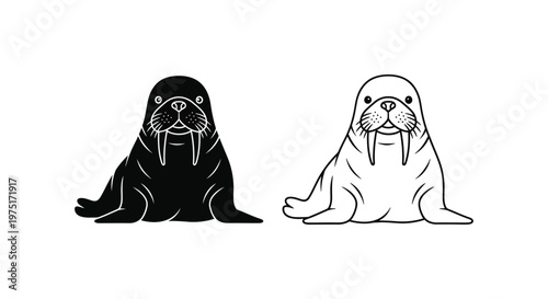 Walrus Illustration: Polar Marine Wildlife Art Vector