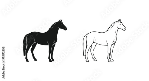 Horse Breed Comparison: Black vs White Horse Vector