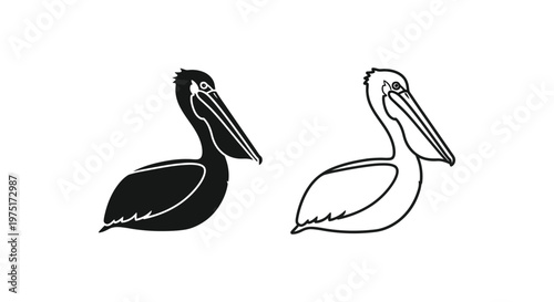 Pelican Silhouette Art Vector Designs Vector