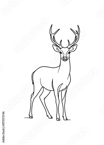 Elegant Form. Minimalistic one-line drawing a deer standing and looking forward with refined silhouette, continuous single black line on white background,