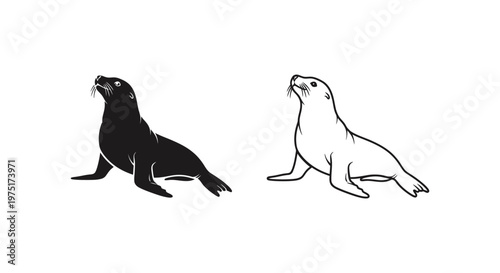 Sea Lion vs Sealion Illustration Guide Vector