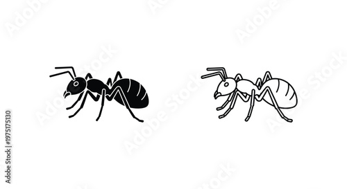 Ant Species Comparison Guide: Black vs Light Ants Vector