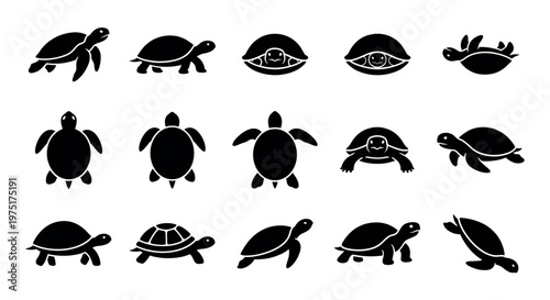 Set of various turtle and tortoise icons in different poses, representing marine life and reptile species.