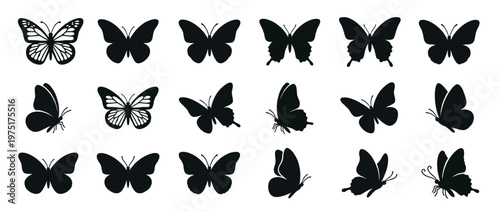 Butterfly silhouettes and icons in various poses and styles, representing nature's delicate beauty and transformation.