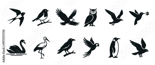 Collection of diverse bird silhouettes in various poses, showcasing different species from flying eagles to swimming swans, perfect for nature and wildlife themes.