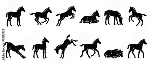 Foals silhouettes in various poses illustrating different actions like standing, playing, and resting, perfect for equestrian and animal-themed designs.