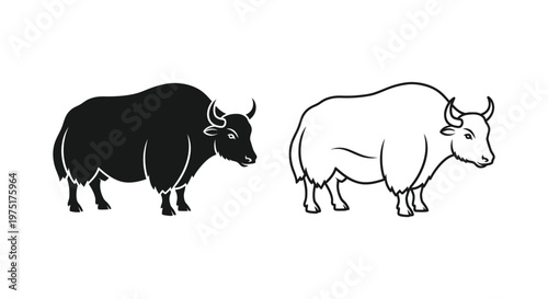 Yak Breeds Comparison: Yak vs Yaks Vector
