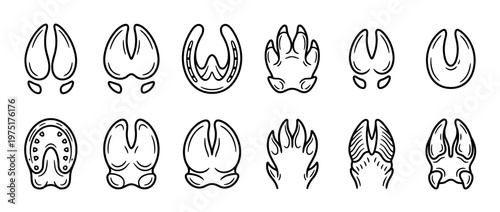 Animal tracks hoof prints paw prints collection in black and white line art style, depicting various wildlife and farm animal foot impressions.