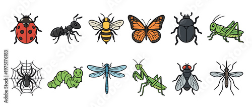 Cartoon insects and bugs collection featuring a variety of common arthropods in a vibrant vector illustration style.
