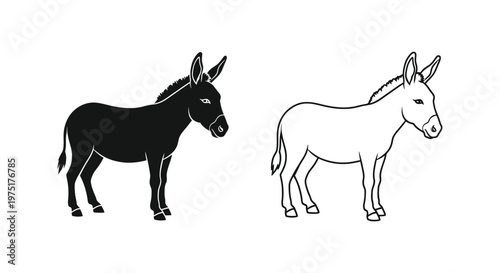 Donkey Breeds Comparison: Black vs White Donkeys Guide Vector