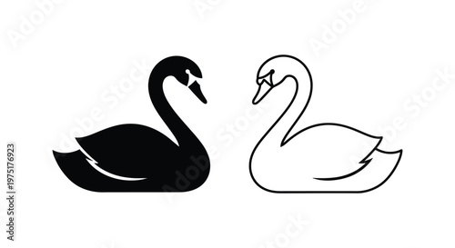 Elegant Black and White Swan Pair Design Vector