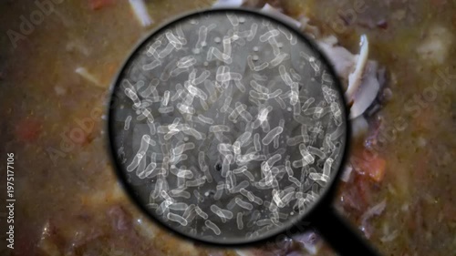 Magnified Bacteria in Soup Showing Food Contamination and Germs Under Magnifying Glass