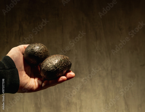 A man holding two avocados in the hand. Placed on the side of the image, creating copy space place for text. Fresh exotic food concept.