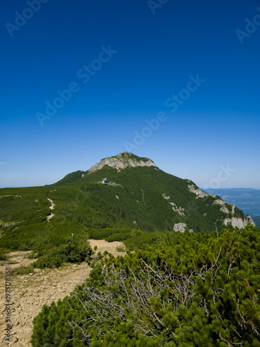 Foto Hiking trail along an alpine ridge leading toward Toaca Peak (Vârful Toaca) amidst dwarf pine shrubland (Pinus mugo) under a clear blue sky on Ceahlău Massif, Romania