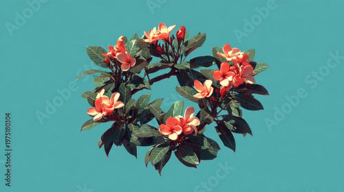 Floral Wreath of Orange Blossoms on Teal Background a Symbol of Spring.
