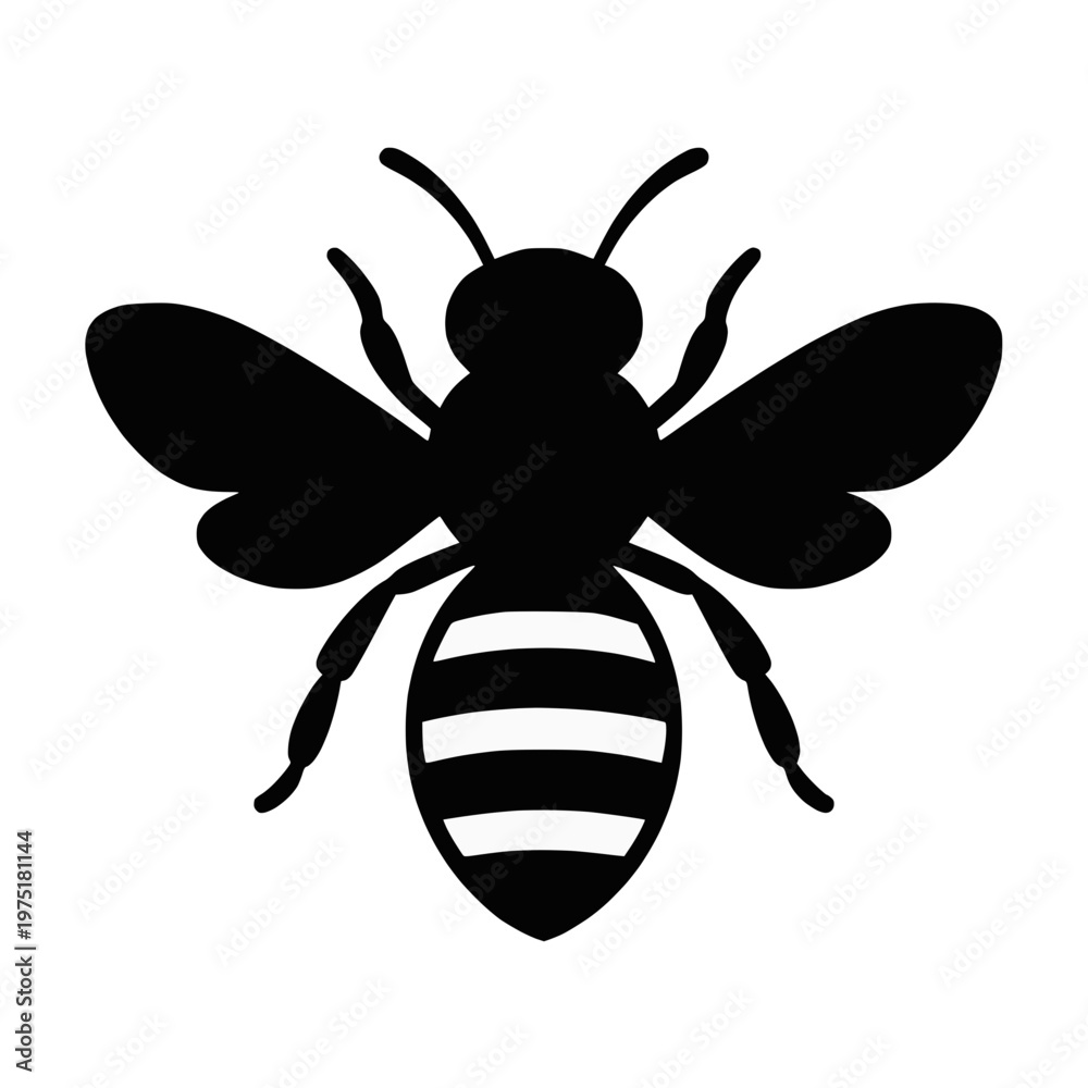 Fototapeta premium Honey bee top view silhouette vector illustration