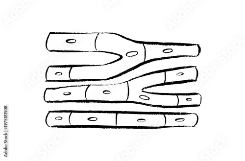 Cells structure sketch