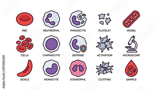 Illustrated blood components: cells, neutrophil, lymphocyte, platelet, microscope