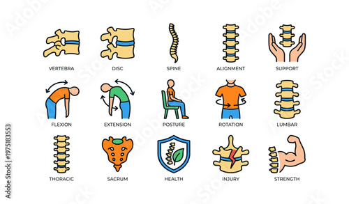 Human spine anatomy icons depicting vertebrae, posture, alignment, support, and health