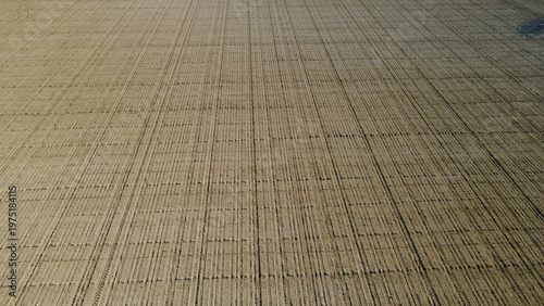 Campi di grano, colza e terre pronte per la semina dei pomodori vicino a dei cascinali, prov. di Alessandria - San Giuliano Nuovo - Piemonte - Italia(dal drone)