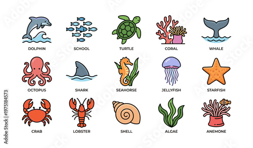 Colorful marine life icons featuring dolphins, sharks, and coral reefs