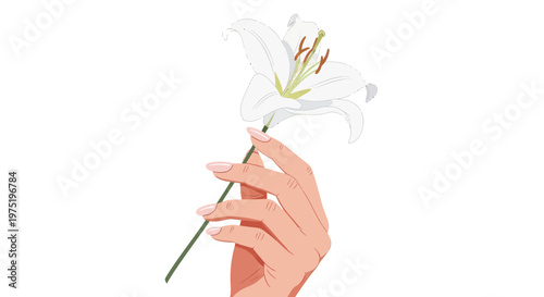 Elegant Hand Holding White Lily Flower - Purity, Beauty, Nature