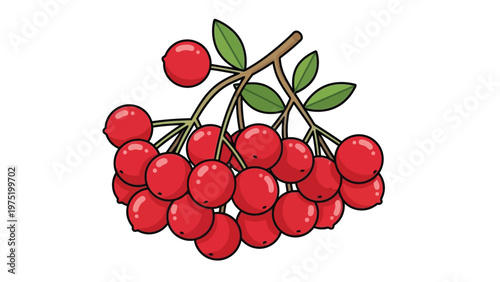 Illustration of a cluster of vibrant red cherries with green leaves on a brown stem against a clean white background.