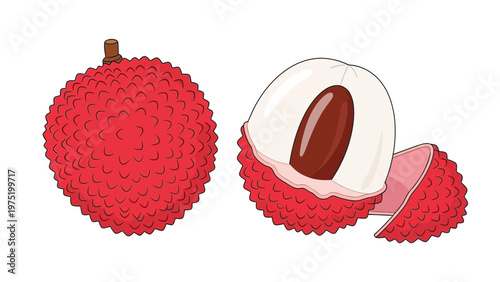 Illustration of whole and halved lychee fruits on a white background, showcasing red skin and brown seed.