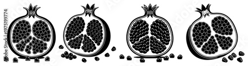 Pomegranate fruit halves showing internal seeds in detailed engraving style