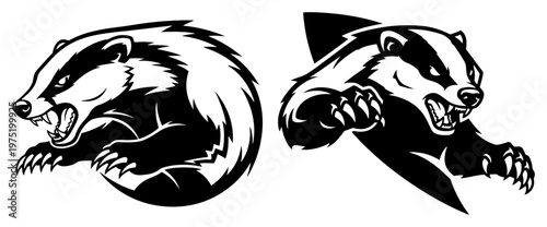 Honey badger attacking mascots with angry expression in black and white style
