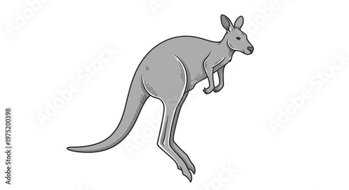Gray kangaroo standing on hind legs with powerful tail.