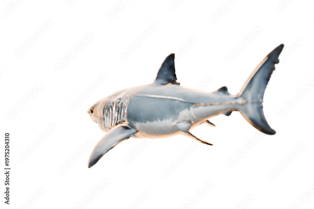 Fototapeta premium great white shark on transparent background