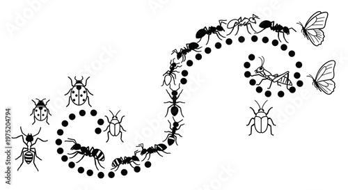 Insect Colony Path with Butterflies and Ladybugs - Vector Illustration