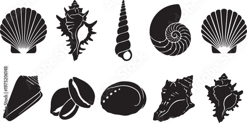 A captivating collection of distinct black silhouette vector icons showcasing various shapes and sizes of seashells, perfect for beach, ocean, and marine-themed designs and projects.
