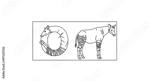 Okapi Animal Illustration, Letter O, Alphabet, Zoo, Wildlife