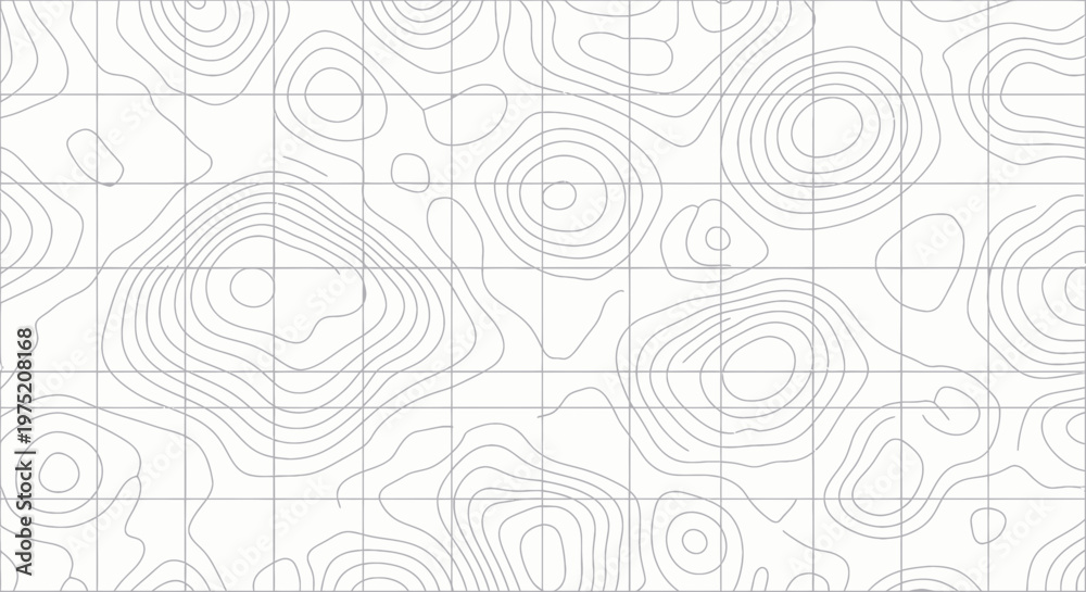 Obraz premium Topographic Map Contour Lines Grid Background