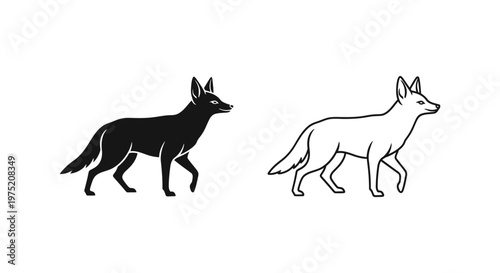 Canis vs Vulpes: Black Fox and Red Fox Comparison Guide Vector