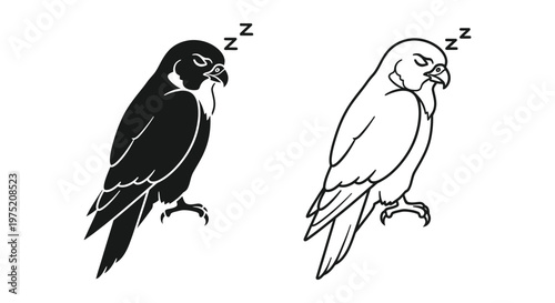 Sleeping Birds of Prey: Falcon vs Hawk Illustration Vector