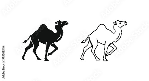 Camel Types: Dromedary vs Bactrian Illustrated Vector