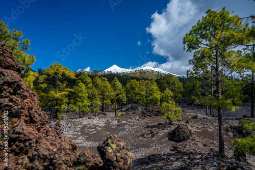 Mount Teide, Tenerife island, Spain.