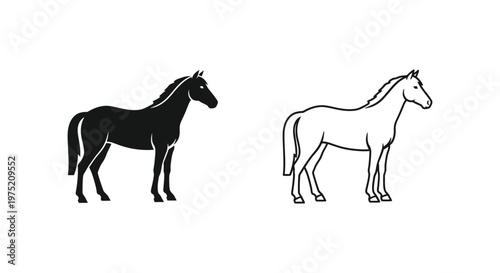 Horse Breeds Comparison Guide: Differences Vector