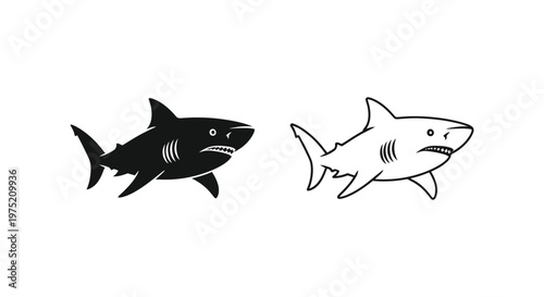 Great White Shark Vector Illustration Design Vector