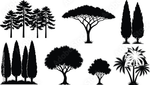 Diverse tree silhouettes collection featuring pine cedar palm and acacia species in black vector style for landscape design environment icons and nature conservation projects.