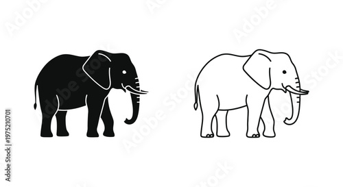 African Elephant Species Comparison Guide Vector