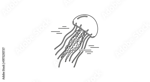 Minimalist Jellyfish Line Art Illustration