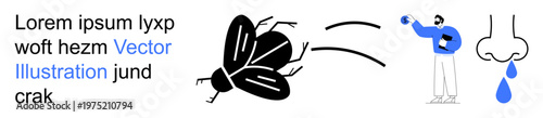 Allergy, pest control, hygiene, illness, health awareness, summer insects. A fly, a sneezing man and a dripping nose. Allergy and pest control visually and conceptually