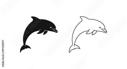 Dolphin Silhouette Art Designs & Vector Illustrations Vector