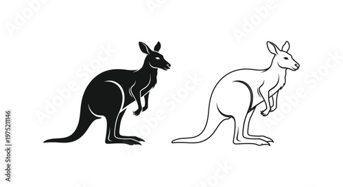 Kangaroo Illustration: Unique Animal Vector Art Vector