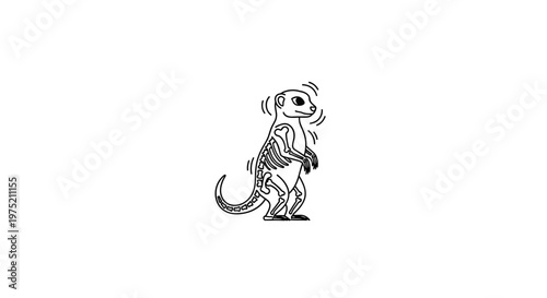 Meerkat Skeleton Illustration: Anatomy and Science