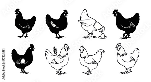 Chicken Silhouettes and Line Drawings - Farm Animals Collection